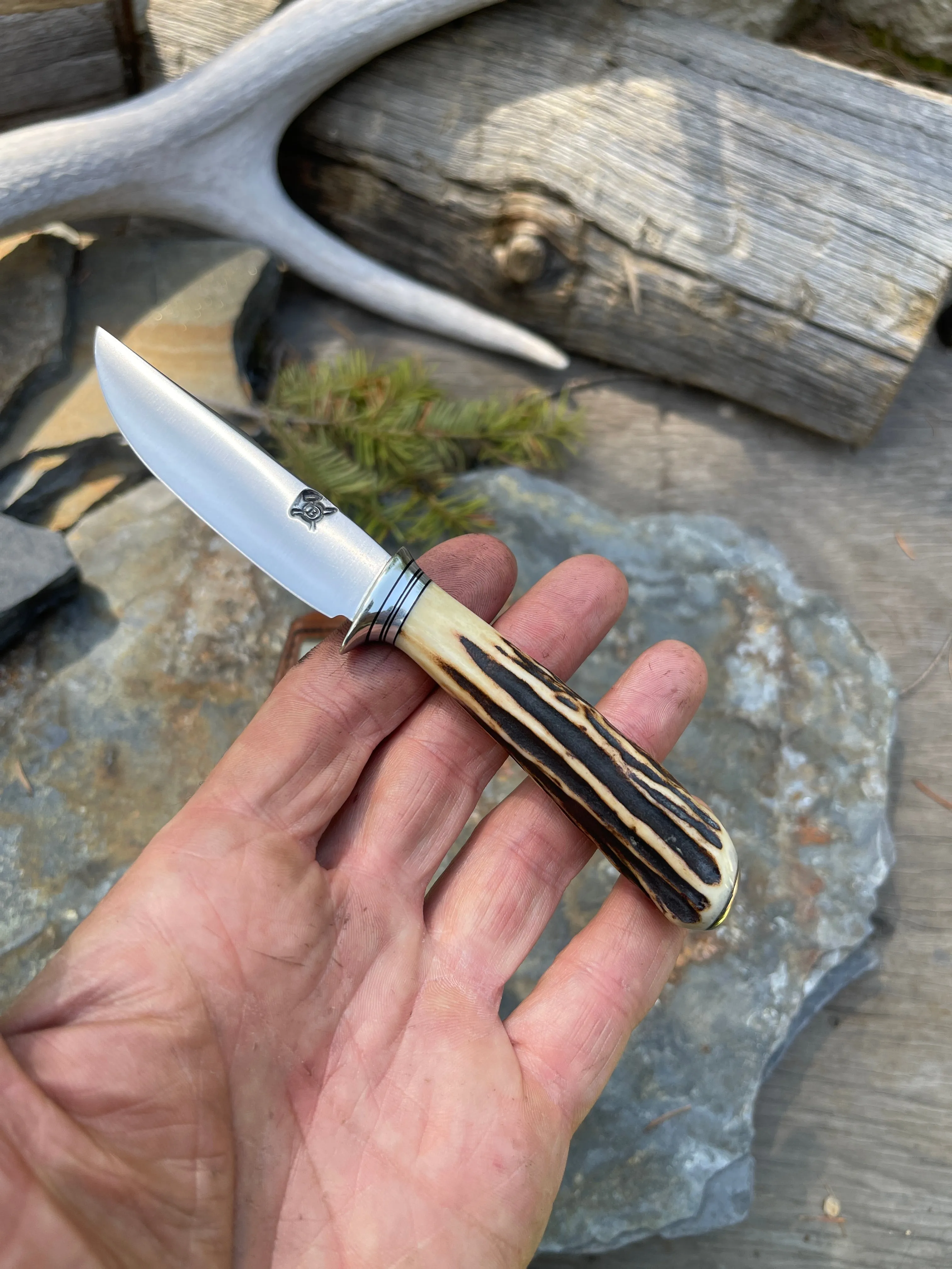 Antique European Stag Pocket