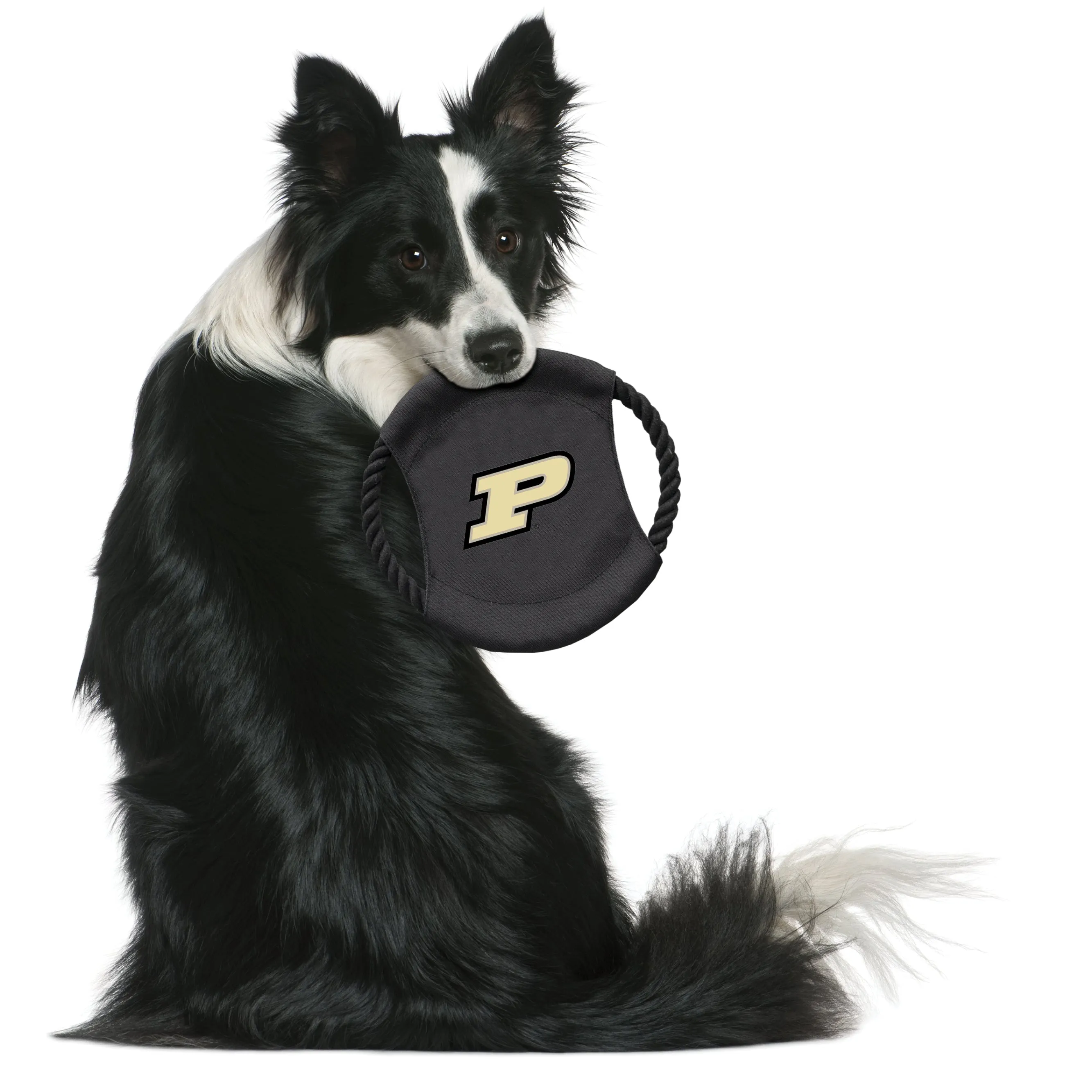 Purdue University Team Flying Disc Pet Toy