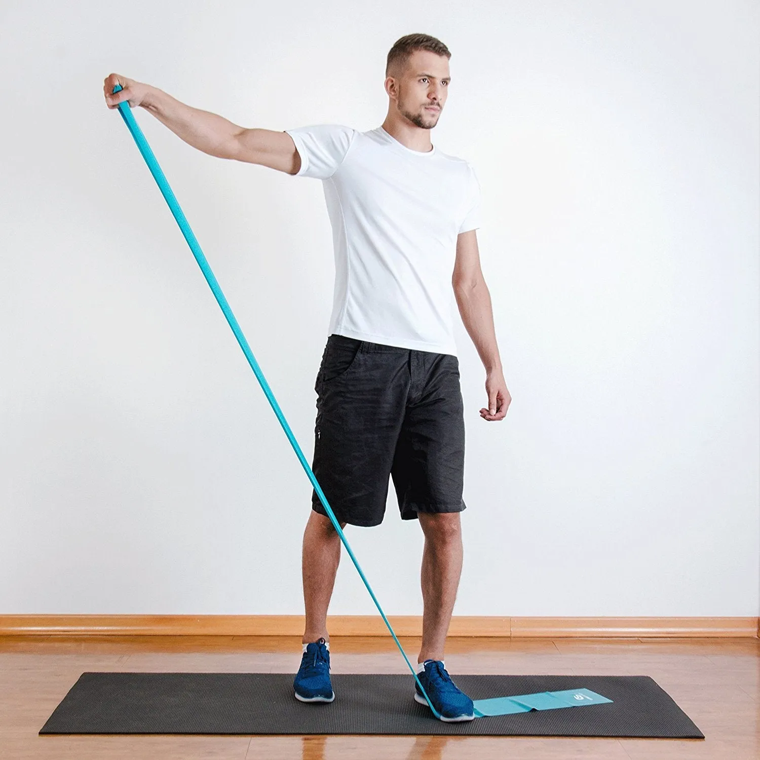 RESISTANCE THERAPY BANDS