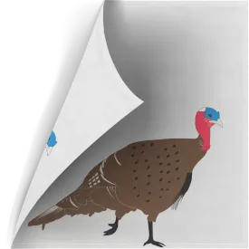 Two Sided Polypropylene Target Face - Turkey