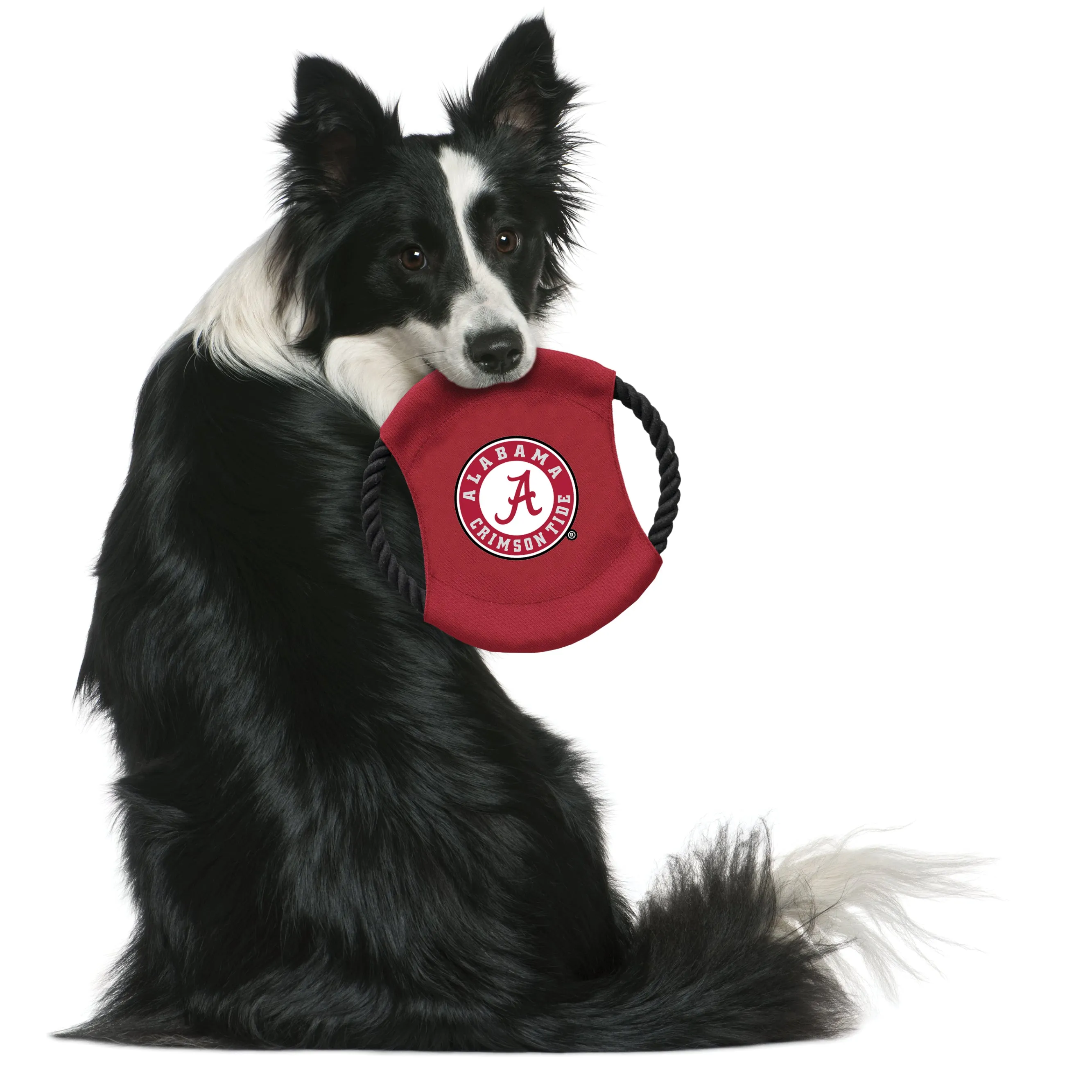 University of Alabama Team Flying Disc Pet Toy