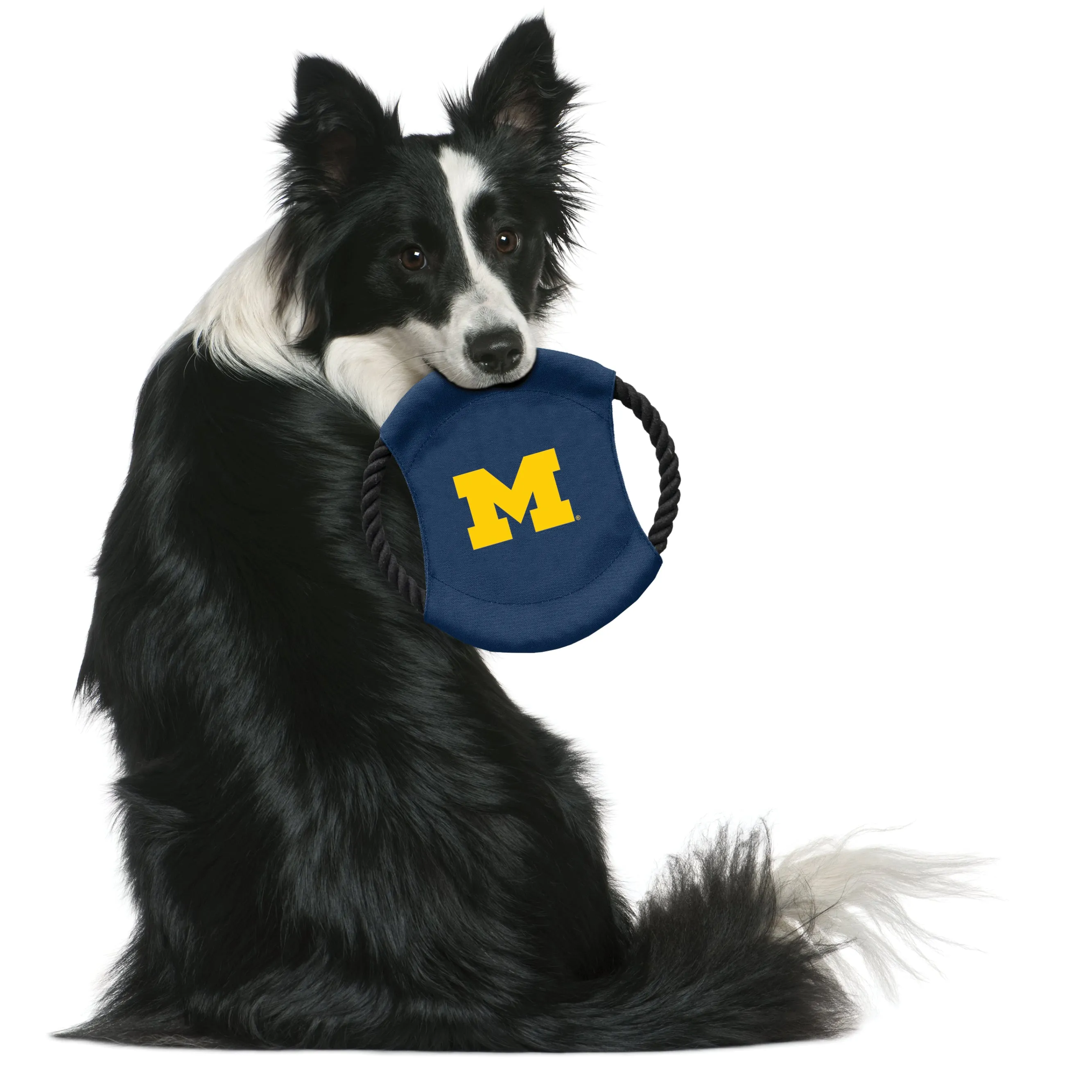University of Michigan Team Flying Disc Pet Toy