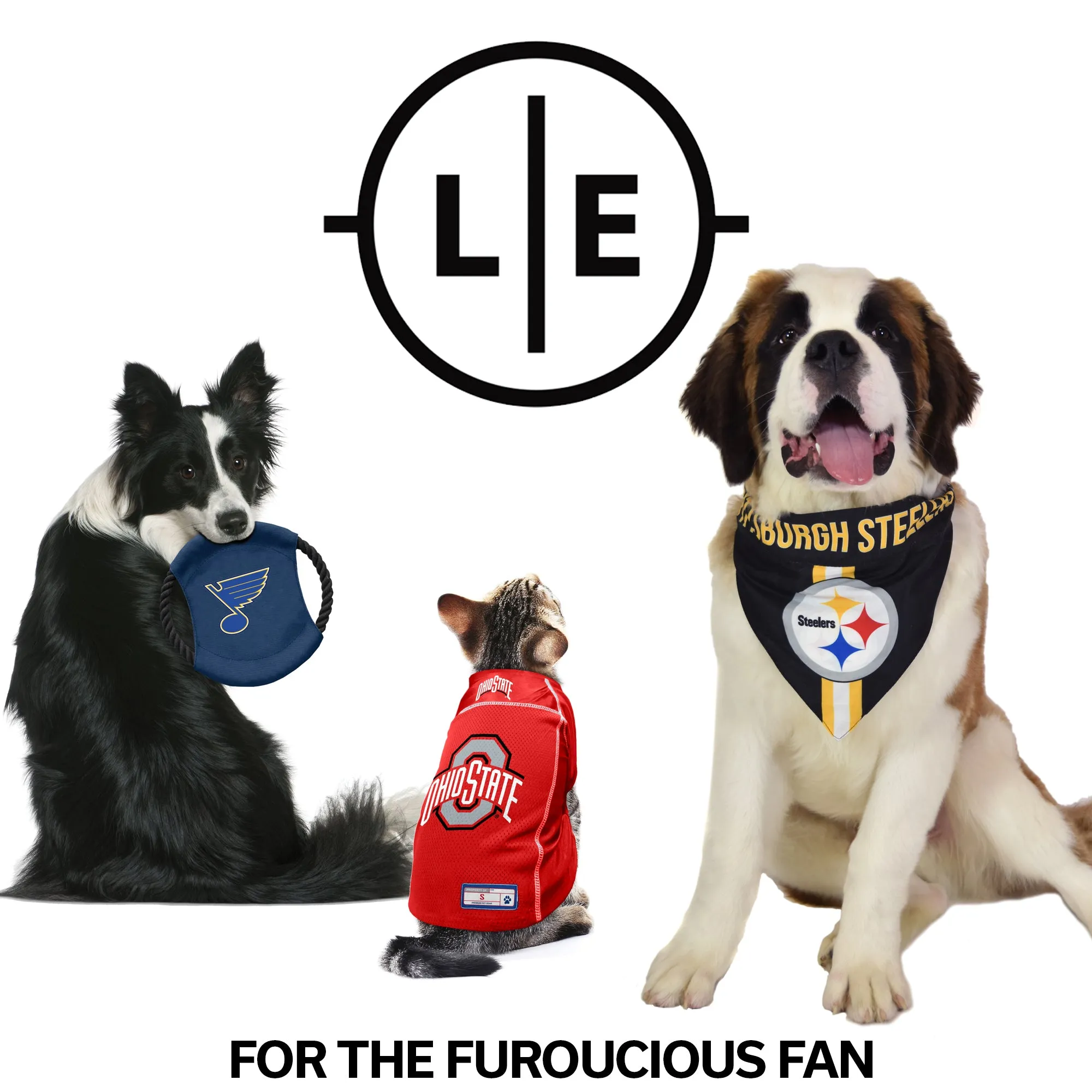 University of Michigan Team Flying Disc Pet Toy
